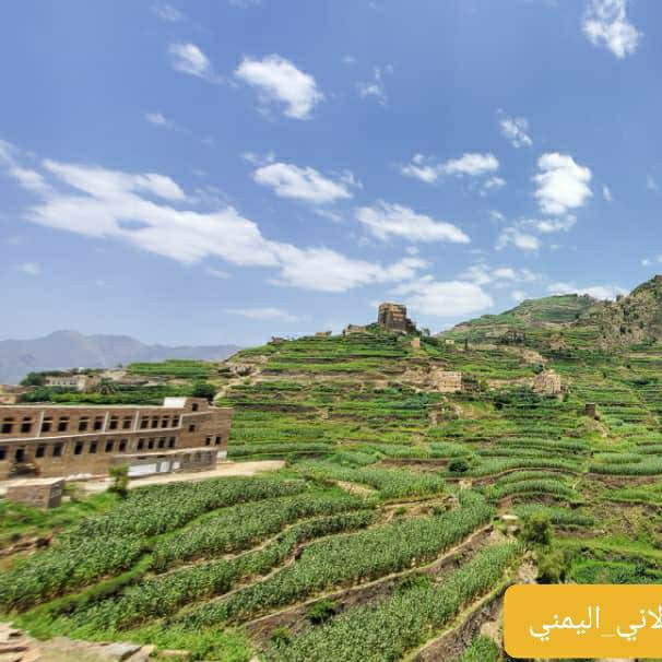 المدرجات الزراعية اليمنية